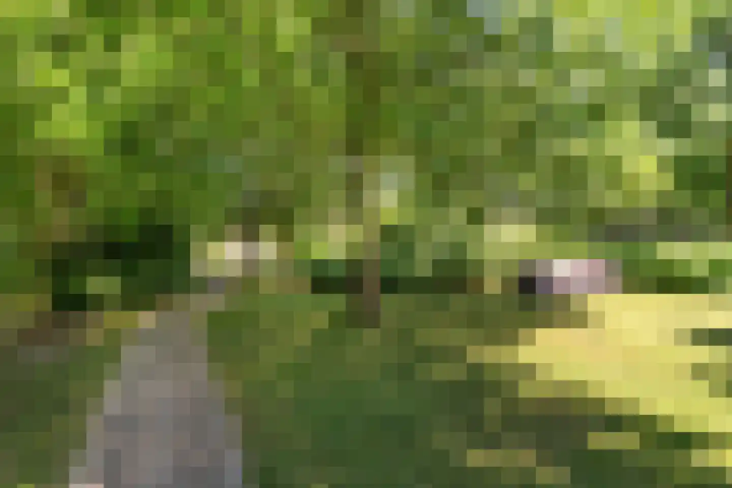 Berlikumerweg 5 Ried thumbnail 65