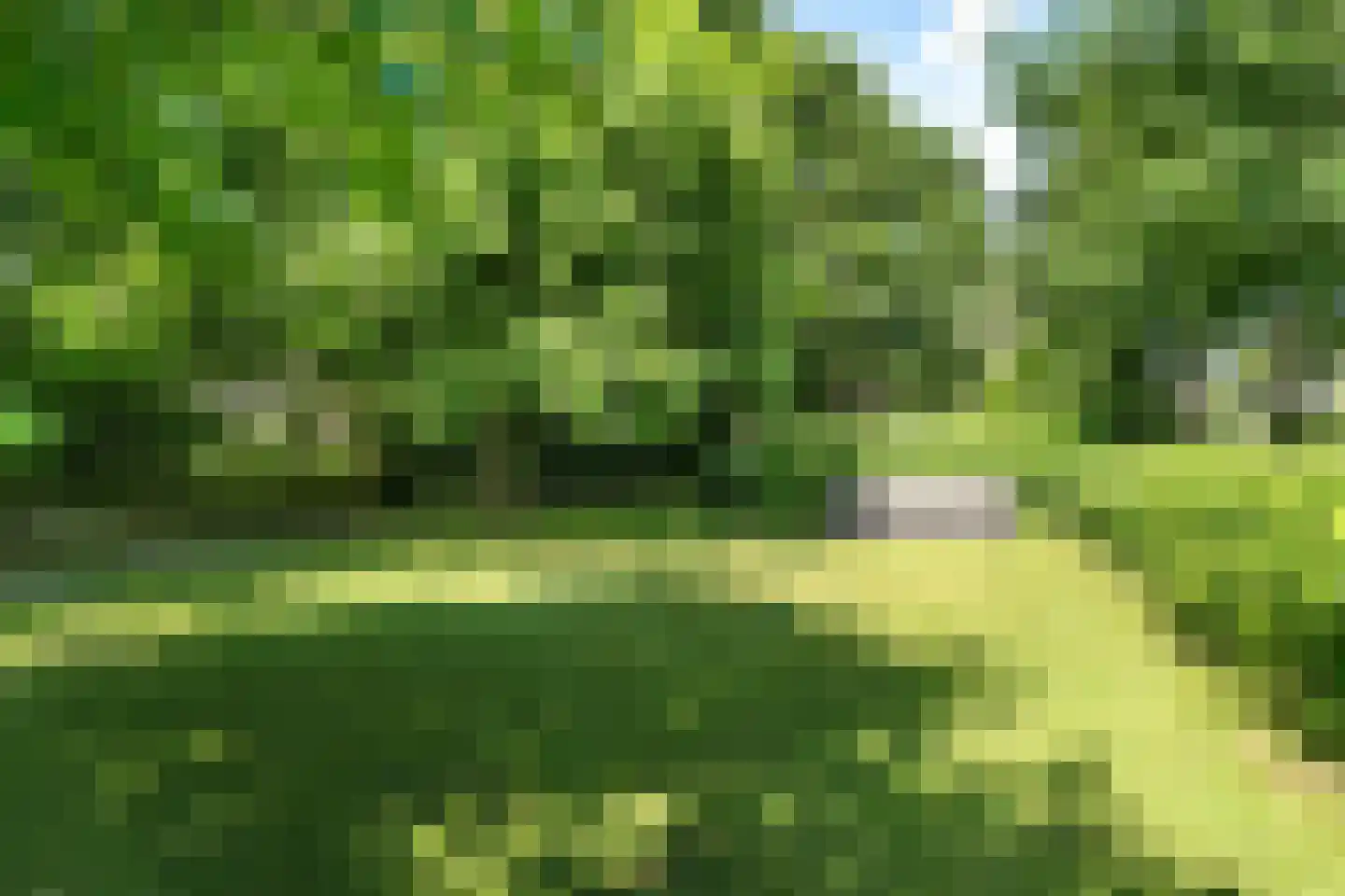 Berlikumerweg 5 Ried thumbnail 66