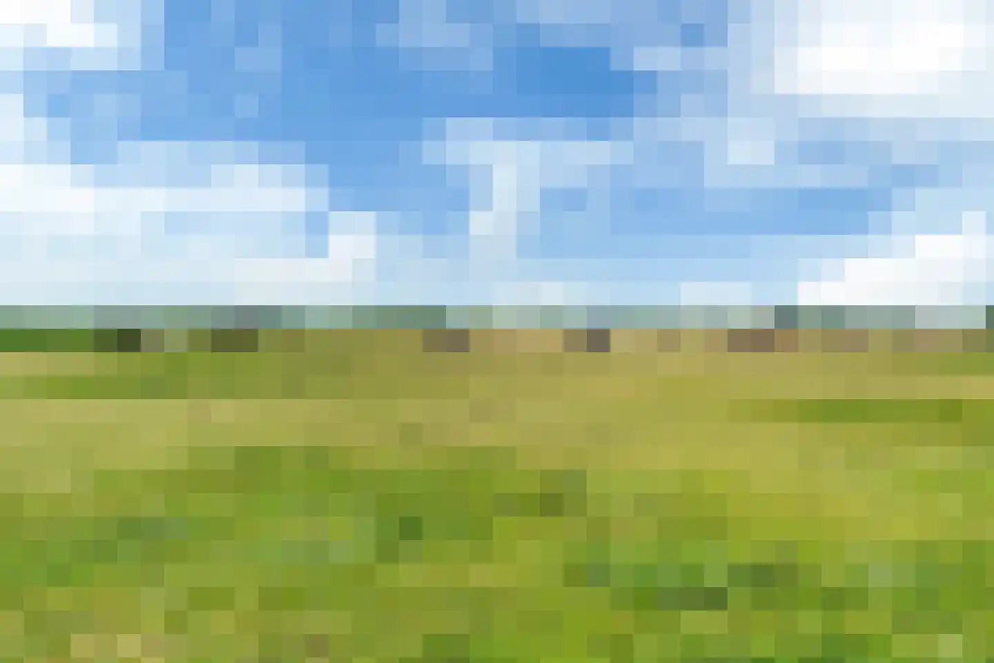 Berlikumerweg 5 Ried thumbnail 67