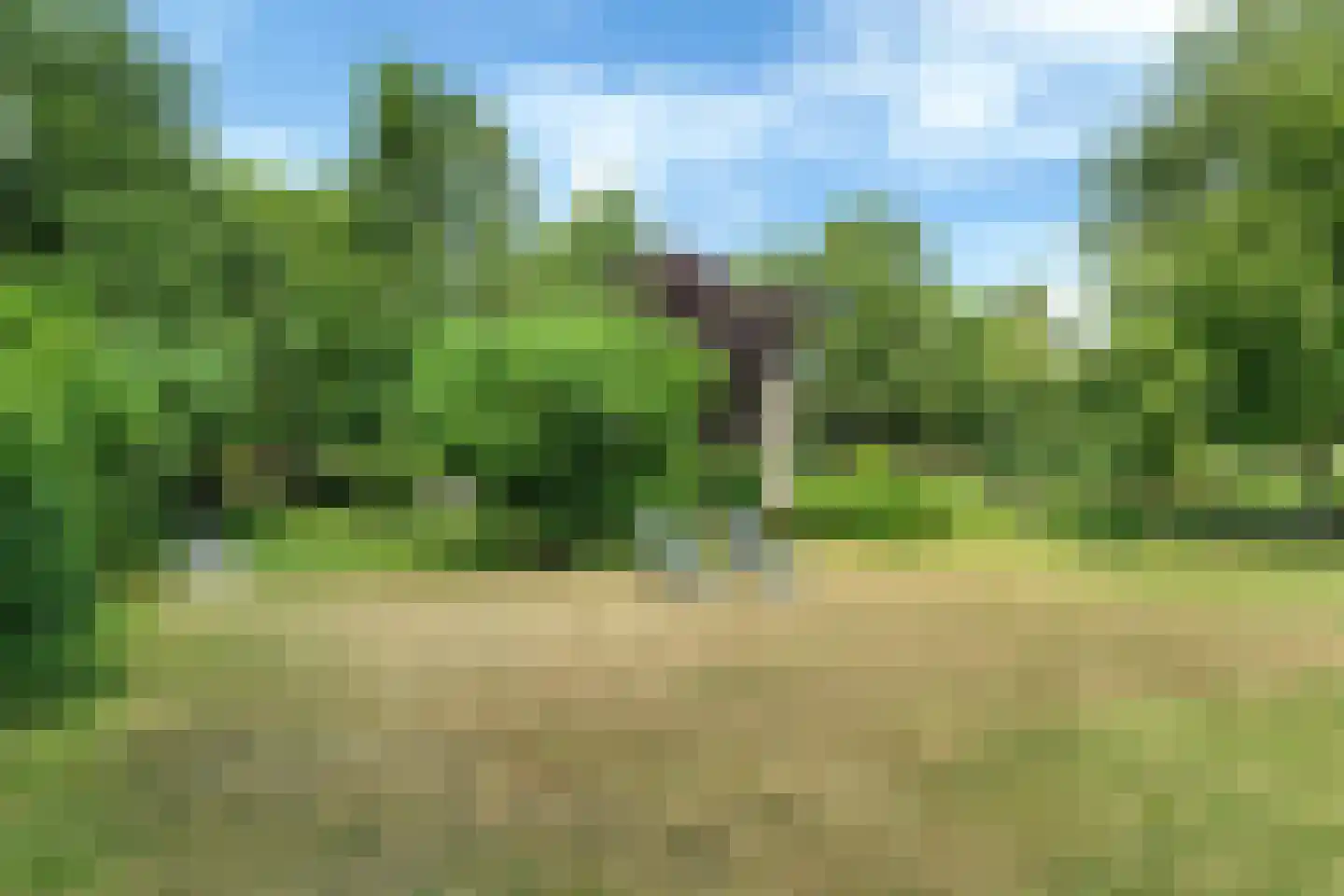 Berlikumerweg 5 Ried thumbnail 68