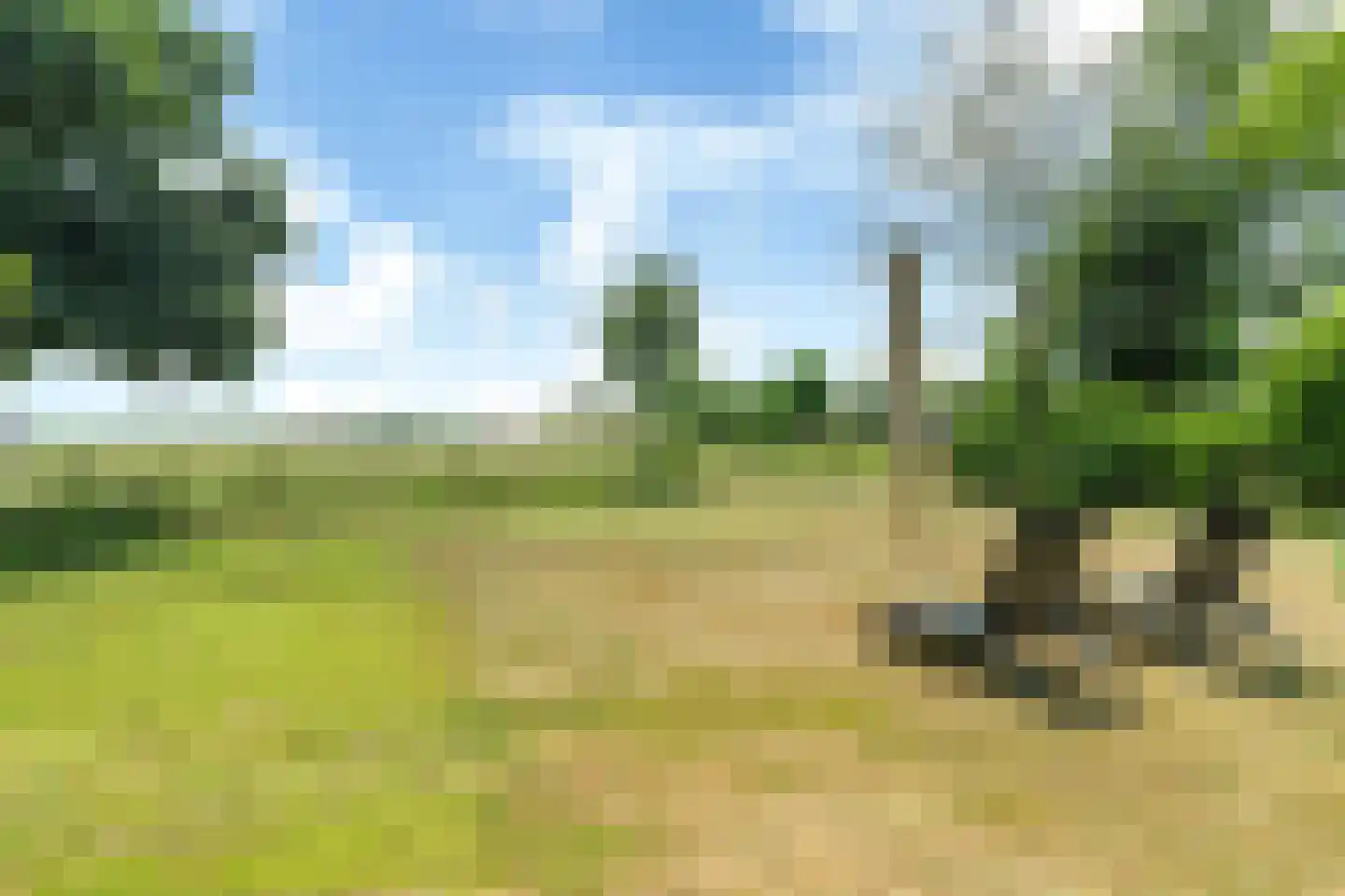 Berlikumerweg 5 Ried thumbnail 69