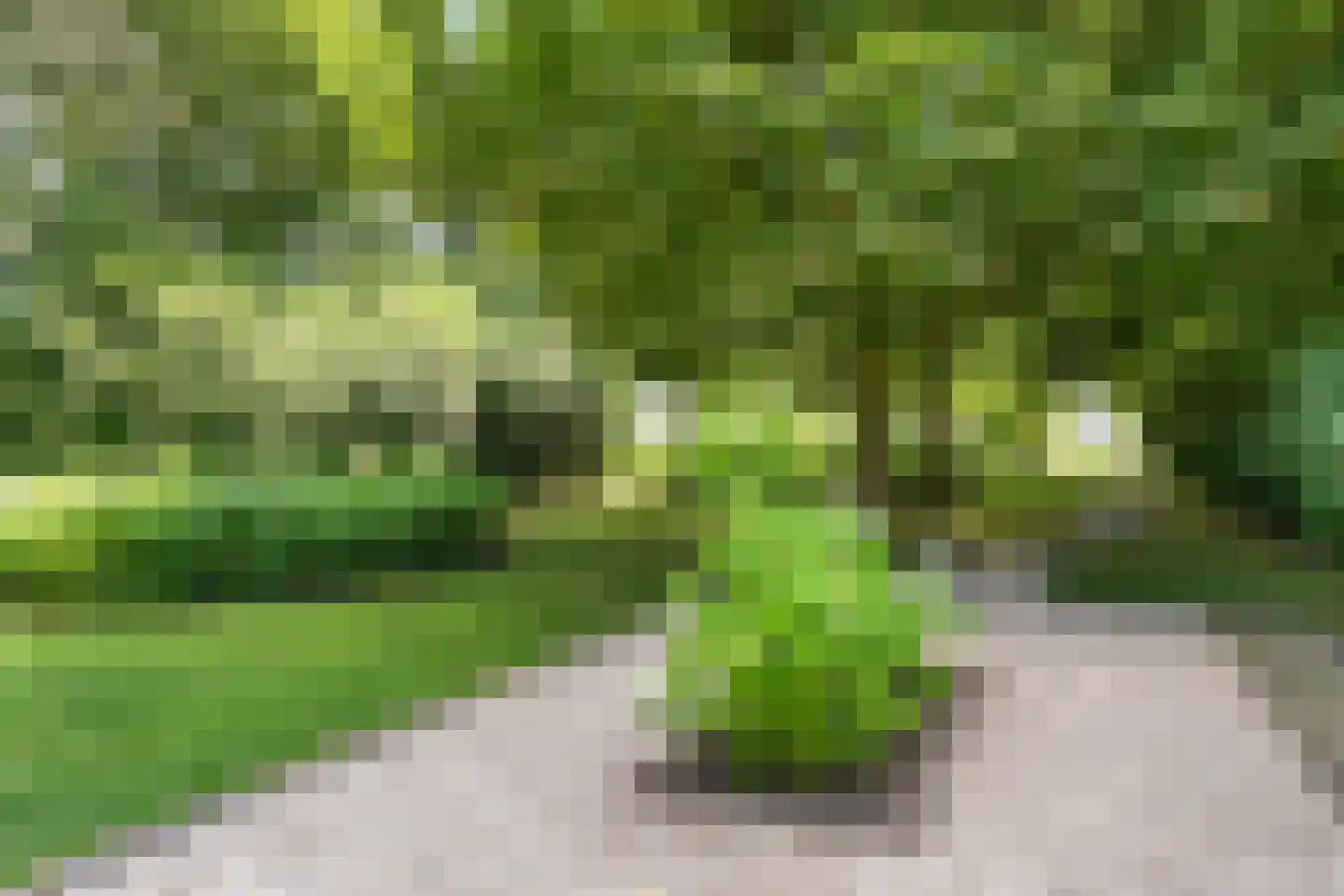 Berlikumerweg 5 Ried thumbnail 7