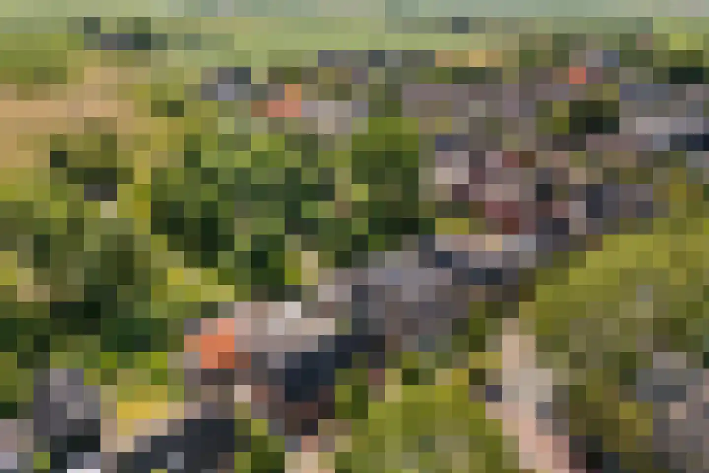 Berlikumerweg 5 Ried thumbnail 72