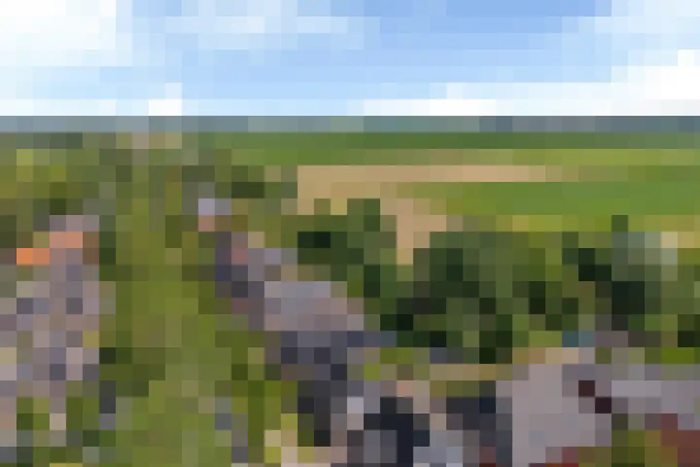 Berlikumerweg 5 Ried thumbnail 73