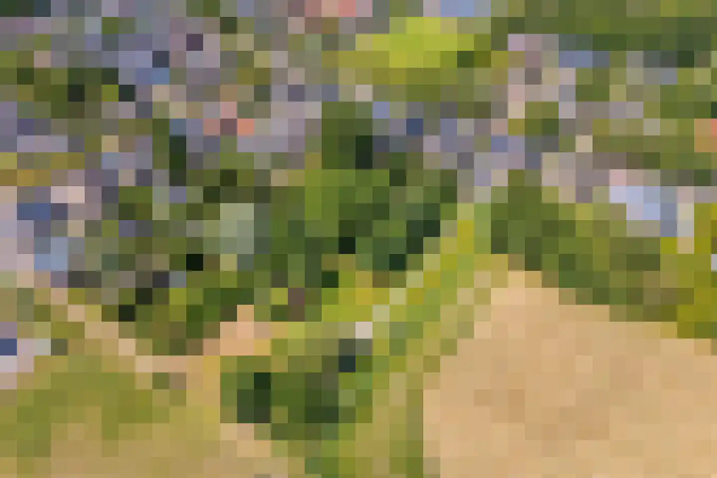 Berlikumerweg 5 Ried thumbnail 76