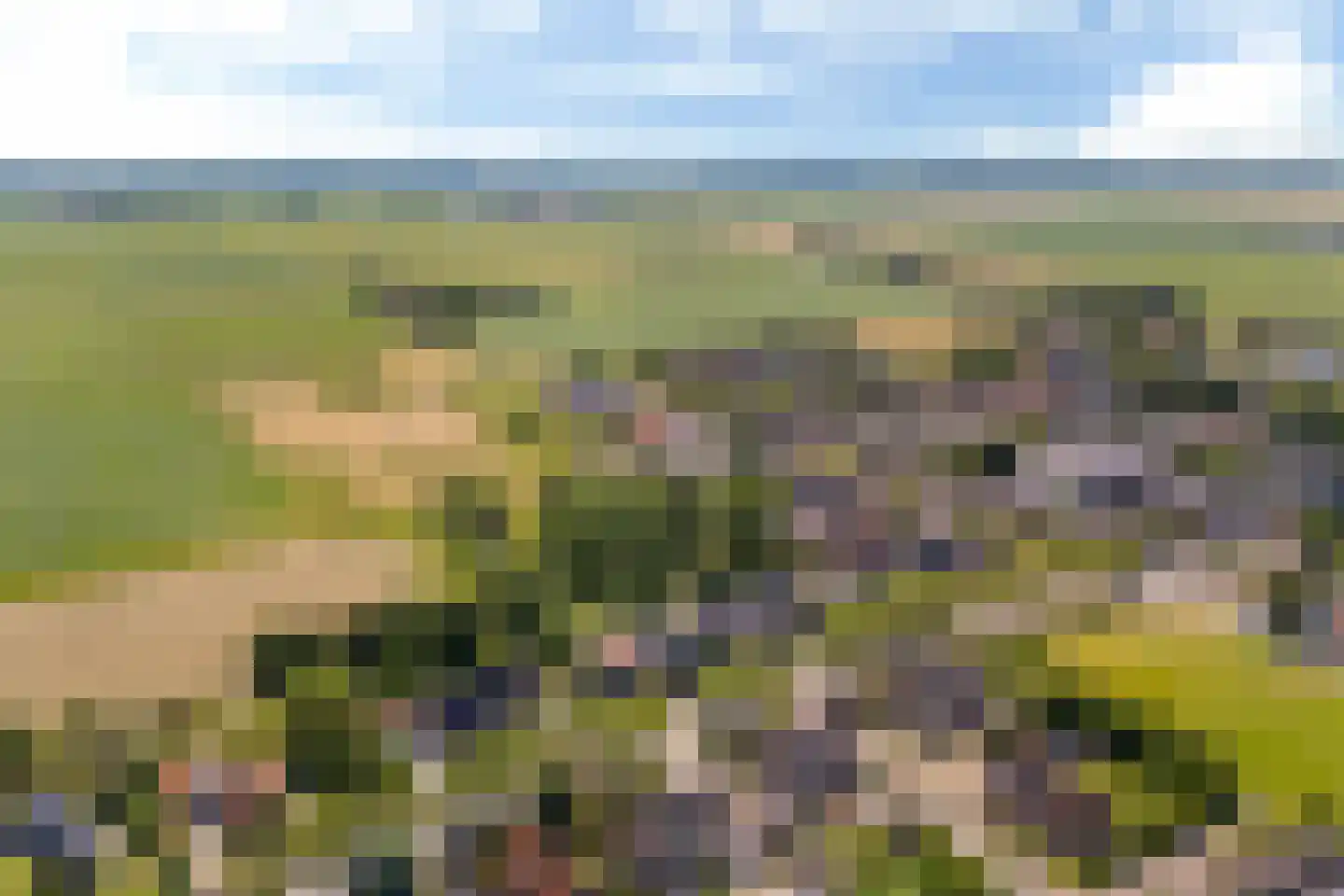 Berlikumerweg 5 Ried thumbnail 77