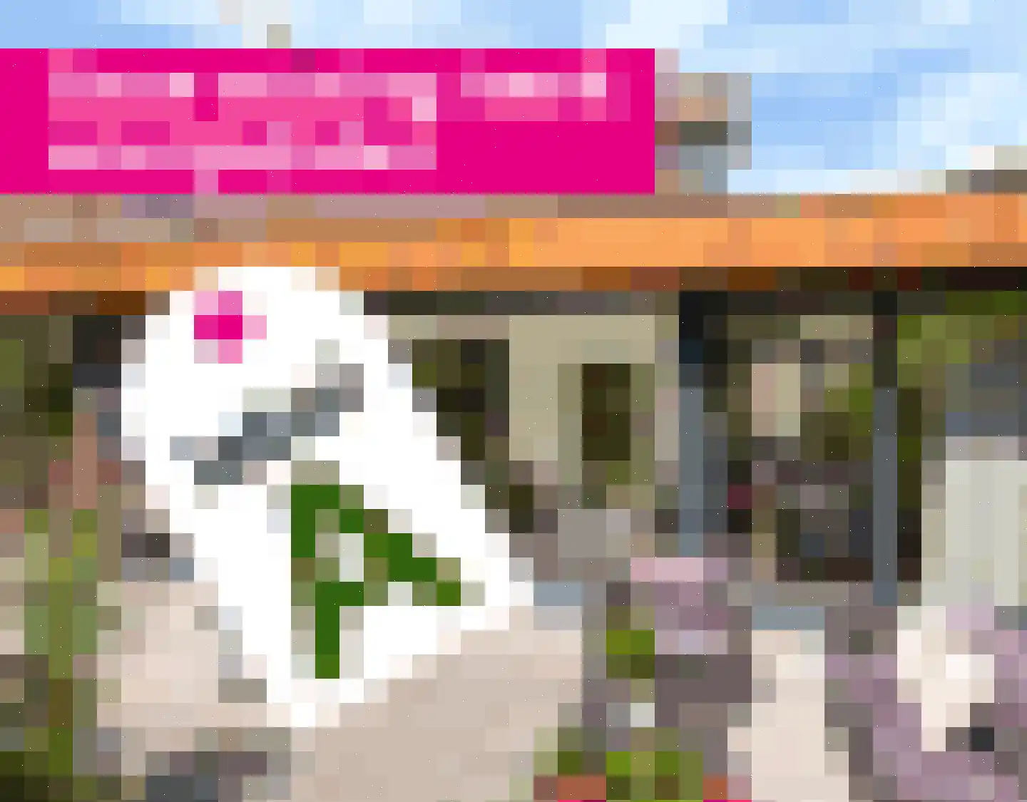 Berlikumerweg 5 Ried thumbnail 78