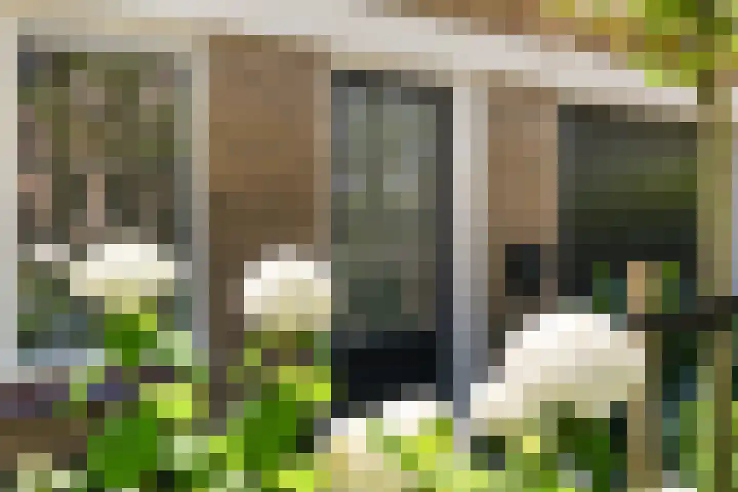 Berlikumerweg 5 Ried thumbnail 8