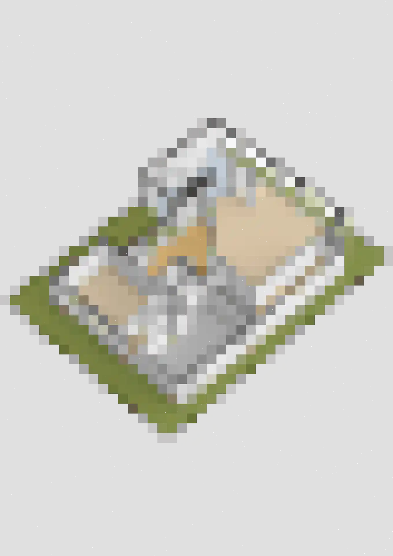 Berlikumerweg 5 Ried thumbnail 84