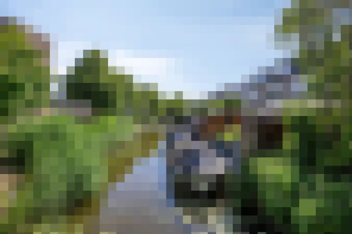 Berline 17 Sassenheim thumbnail 48
