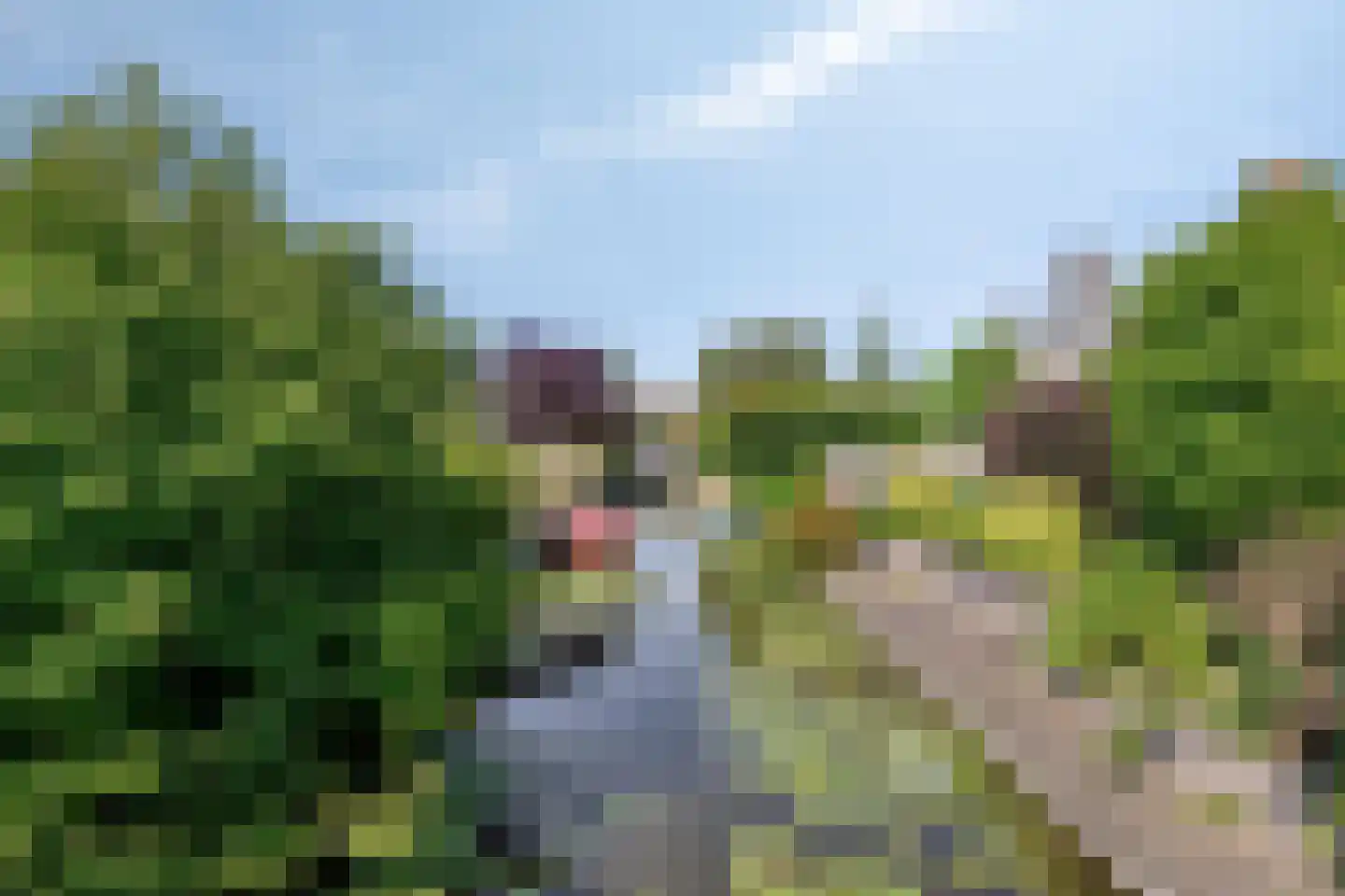 Berline 17 Sassenheim thumbnail 49