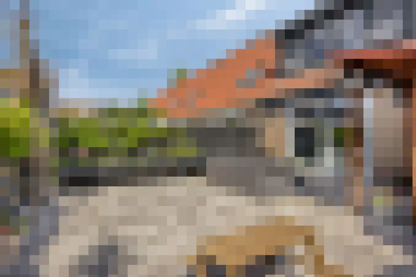 Berline 17 Sassenheim thumbnail 6