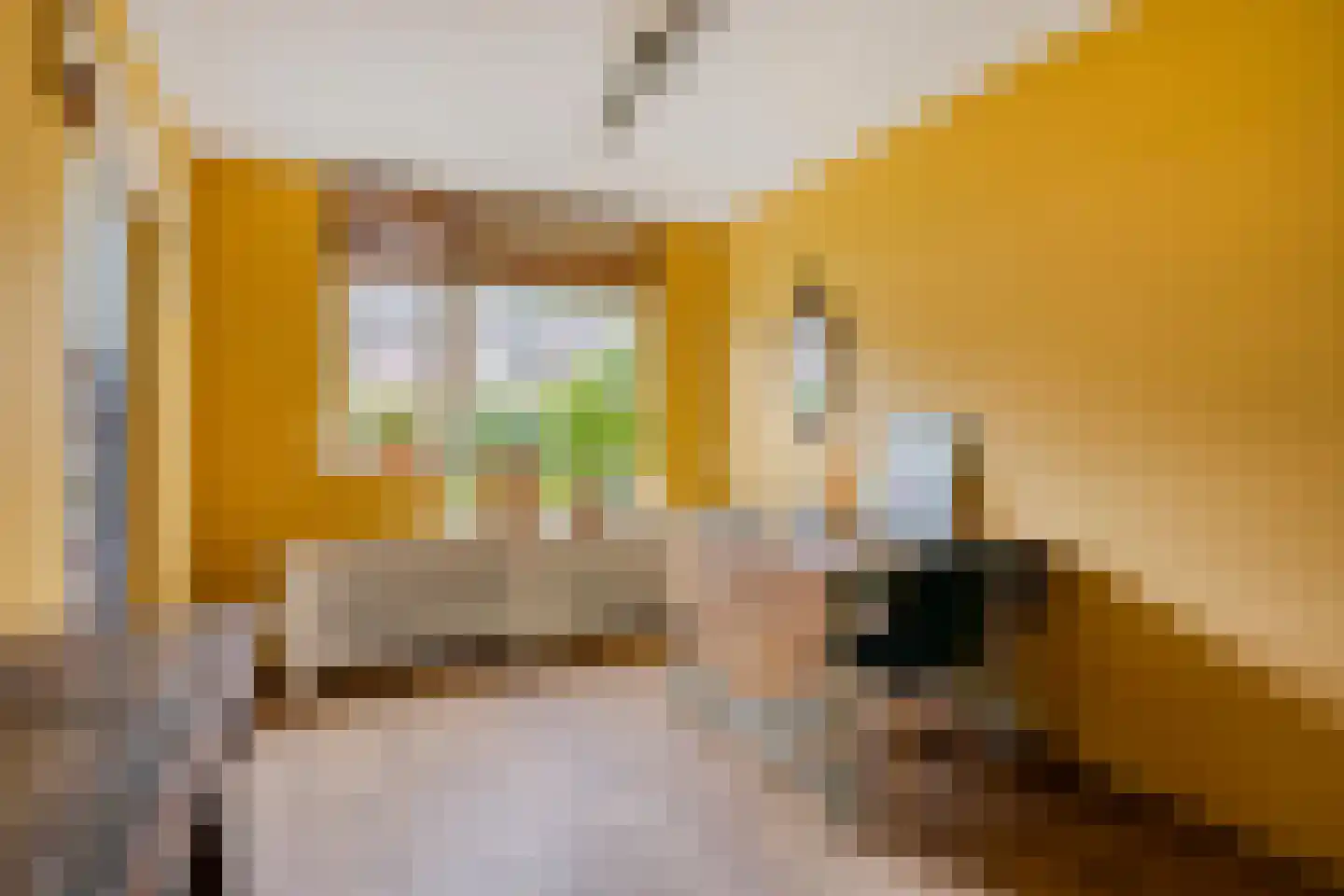 Berliozhof 19 Schijndel thumbnail 11
