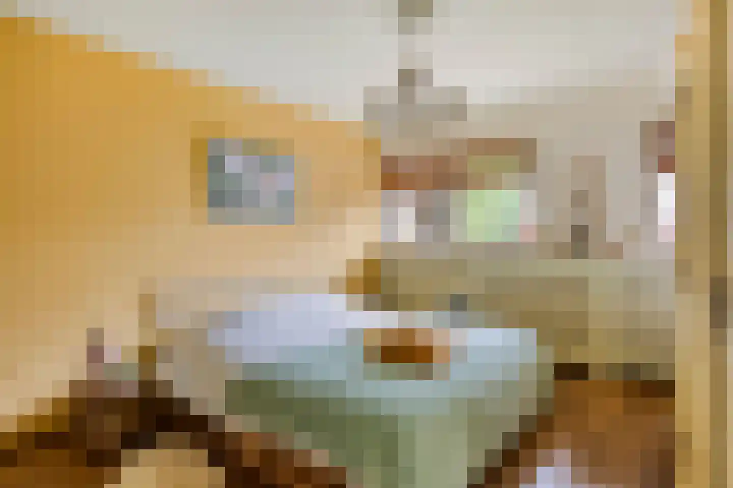 Berliozhof 19 Schijndel thumbnail 23