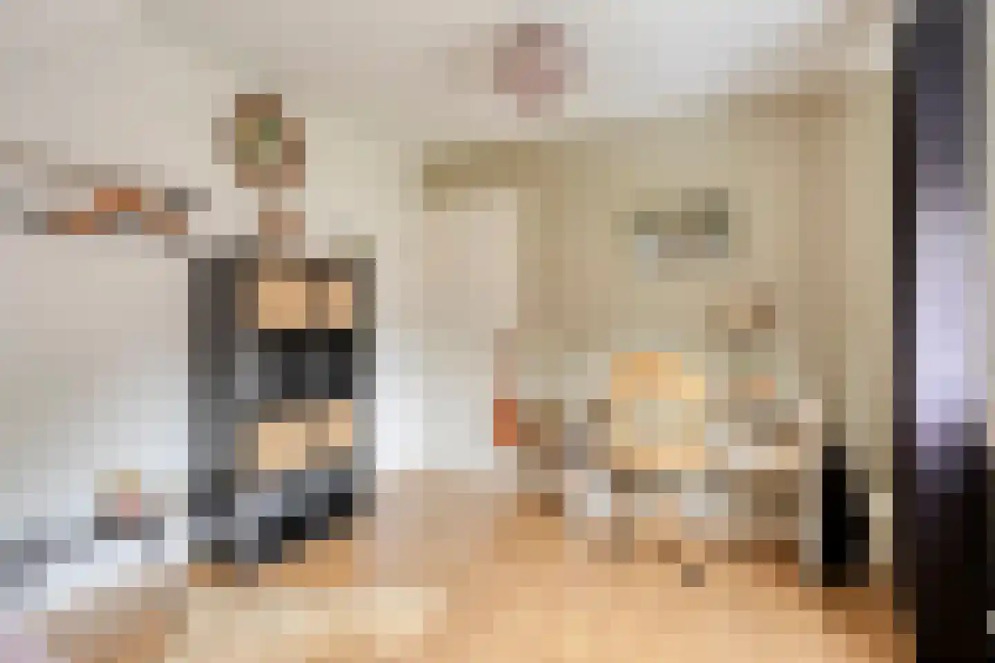 Berliozhof 19 Schijndel thumbnail 27