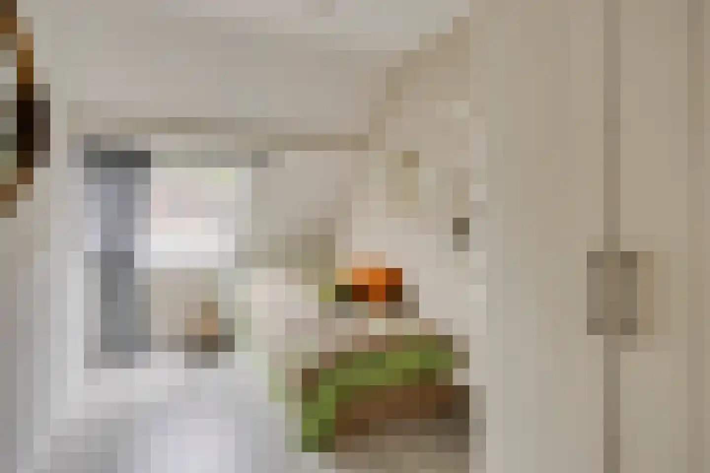 Berliozhof 19 Schijndel thumbnail 31