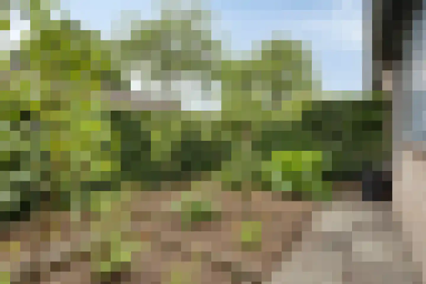 Berliozhof 19 Schijndel thumbnail 35