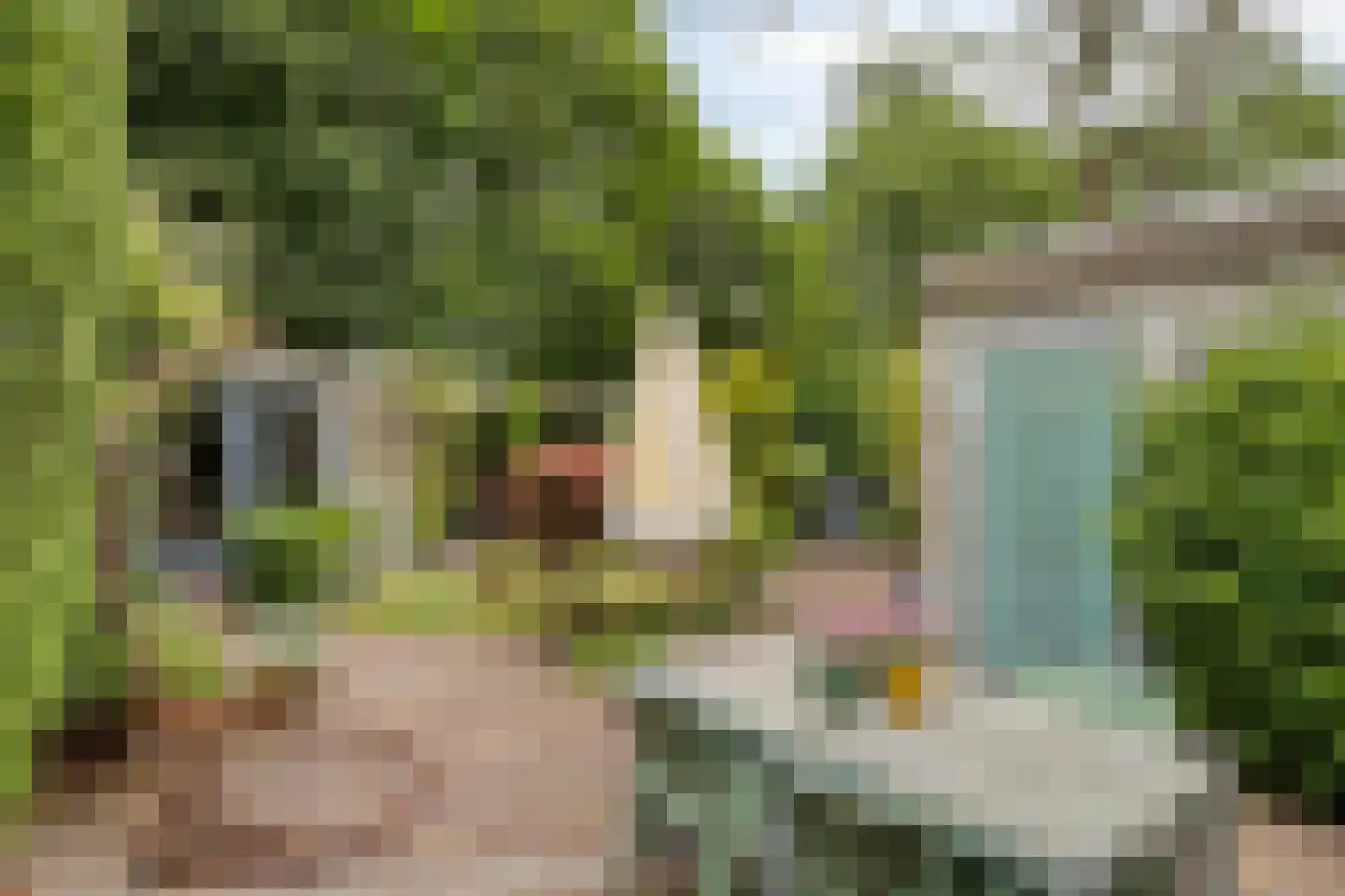 Berliozhof 19 Schijndel thumbnail 37