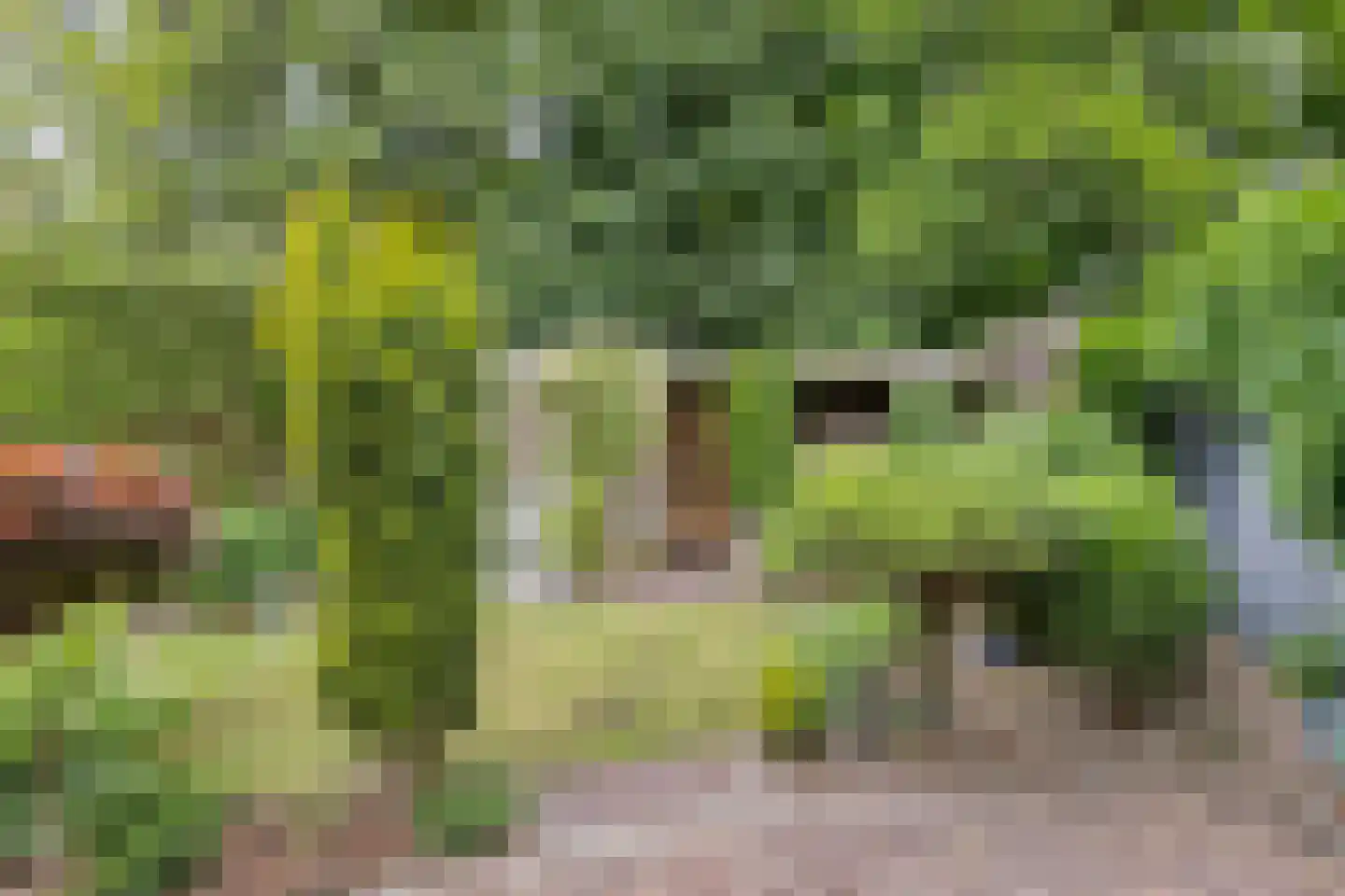 Berliozhof 19 Schijndel thumbnail 40