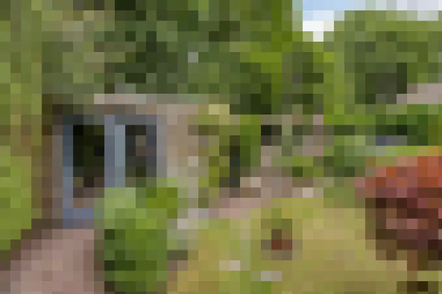 Berliozhof 19 Schijndel thumbnail 42