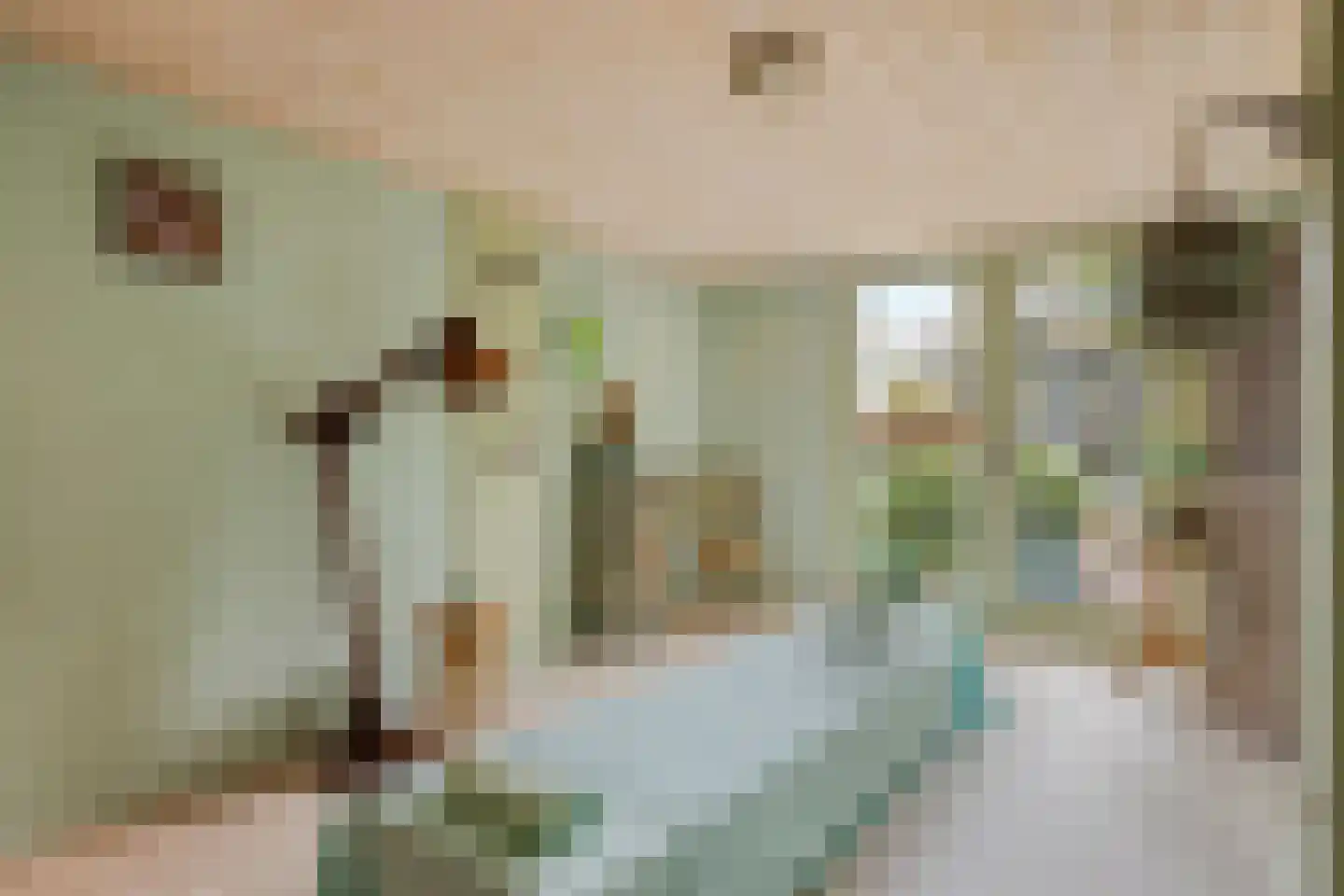 Berliozhof 19 Schijndel thumbnail 45