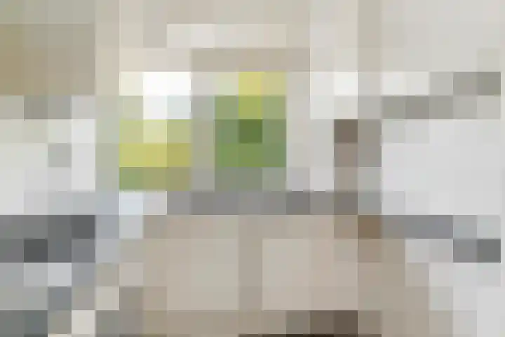 Berliozlaan 16 Rotterdam thumbnail 4