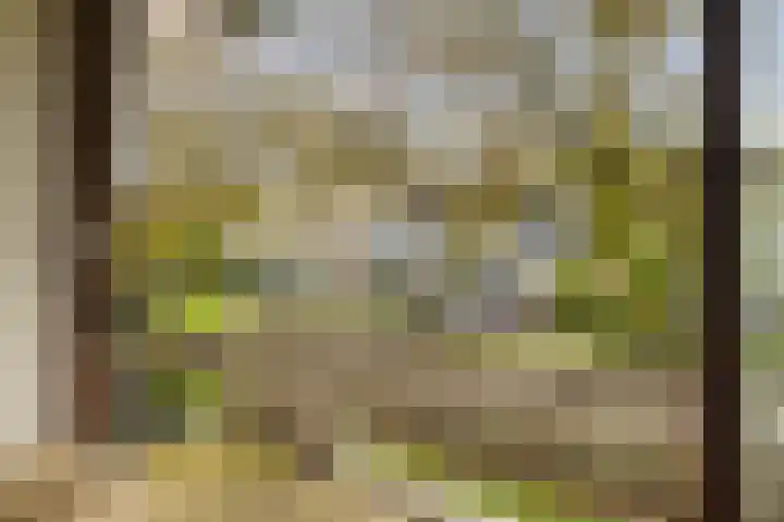 Berliozlaan 16 Rotterdam thumbnail 6