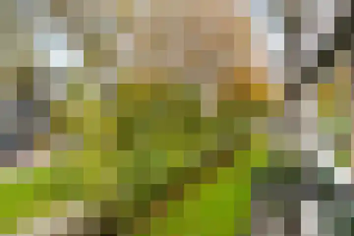 Berliozlaan 16 Rotterdam thumbnail 7