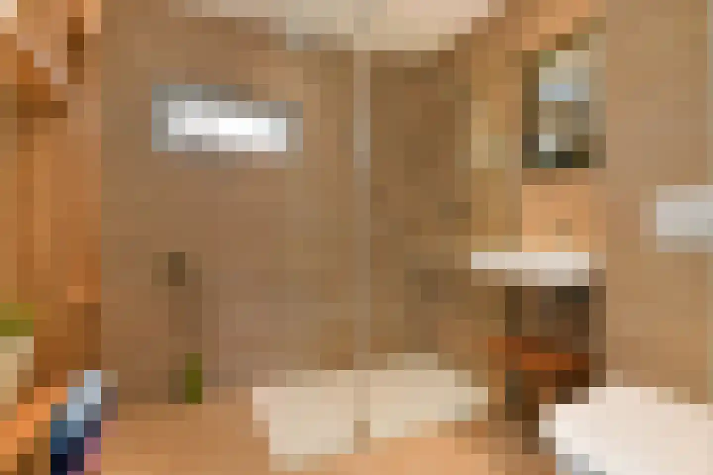 Berliozlaan 19 Rotterdam thumbnail 14