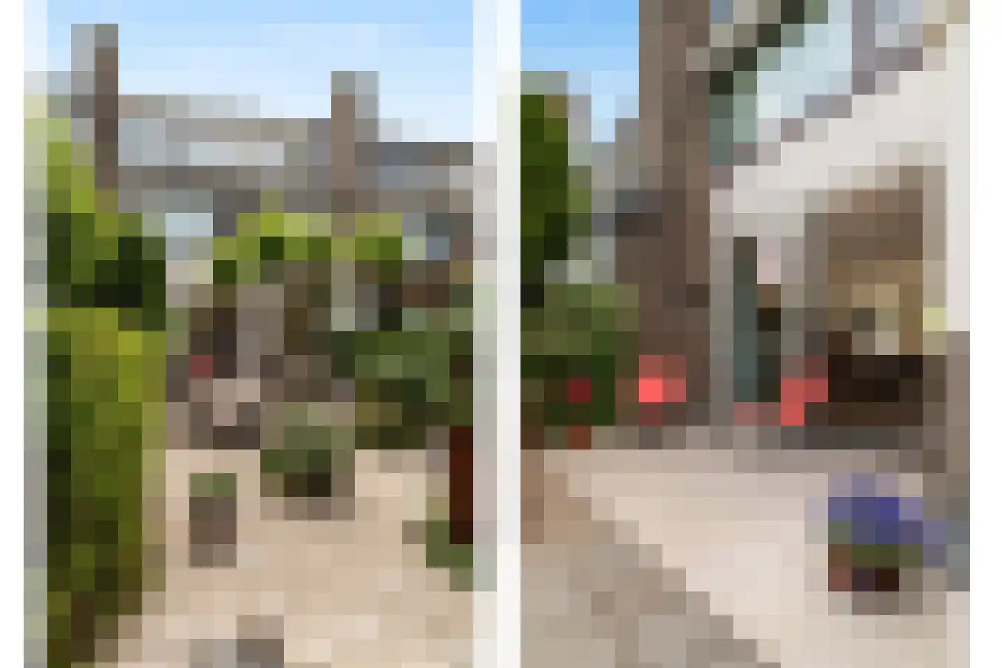 Berliozlaan 19 Rotterdam thumbnail 8