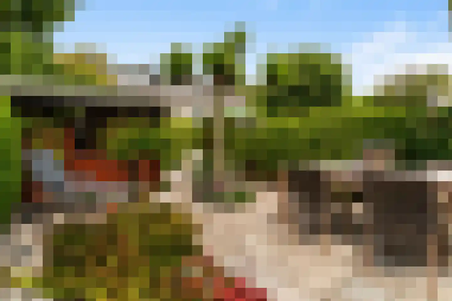 Berliozlaan 19 Rotterdam thumbnail 9