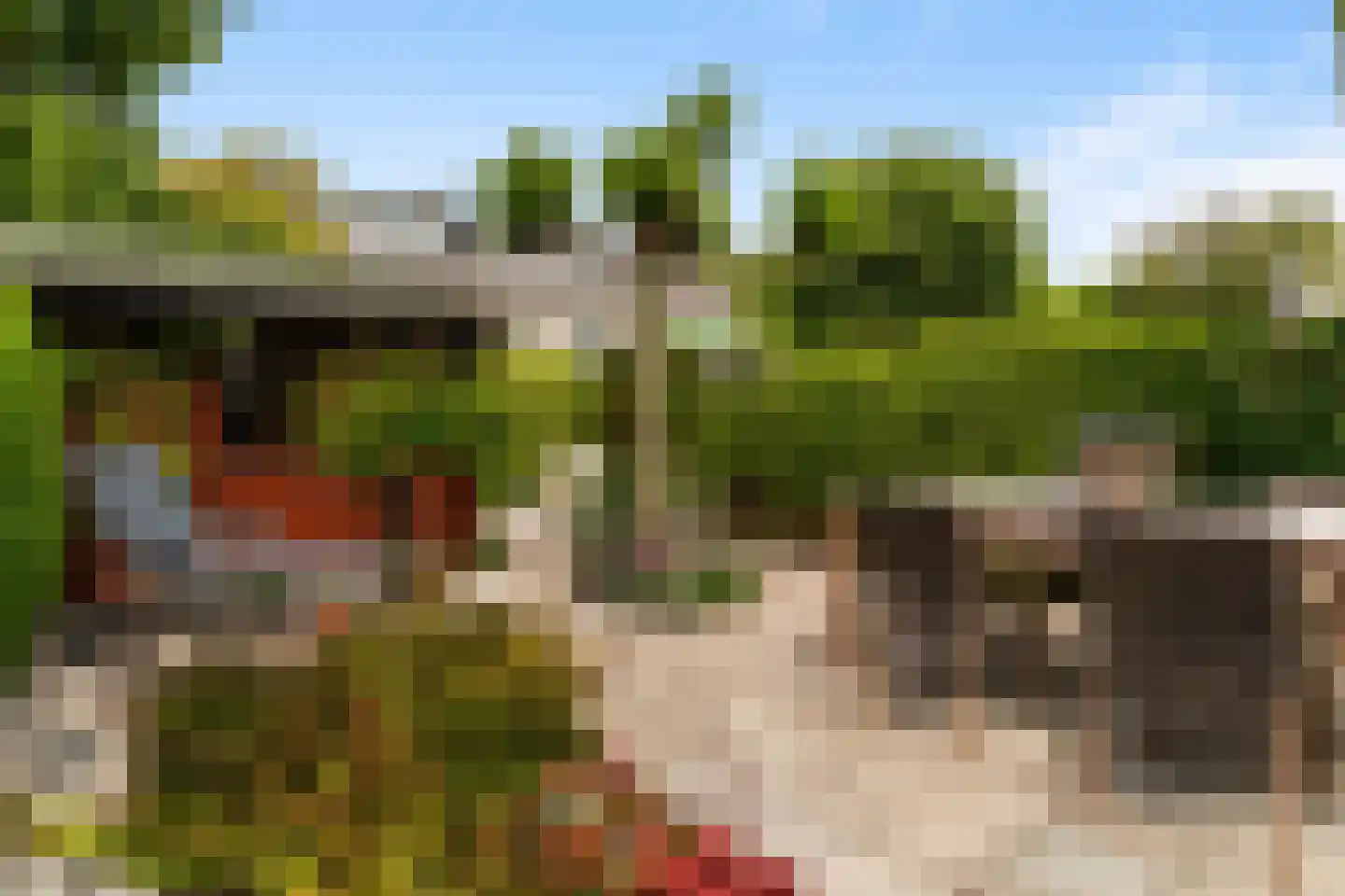 Berliozlaan 19 Rotterdam thumbnail 9