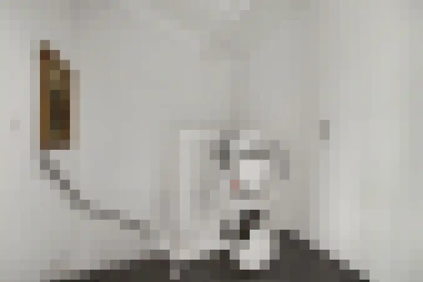 Berliozlaan 3 Goes thumbnail 16