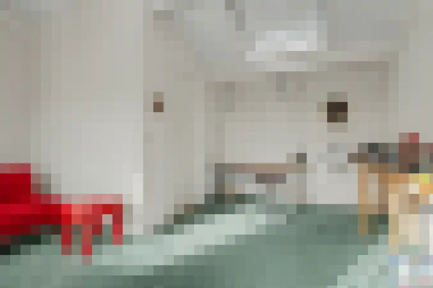 Berliozlaan 3 Goes thumbnail 19