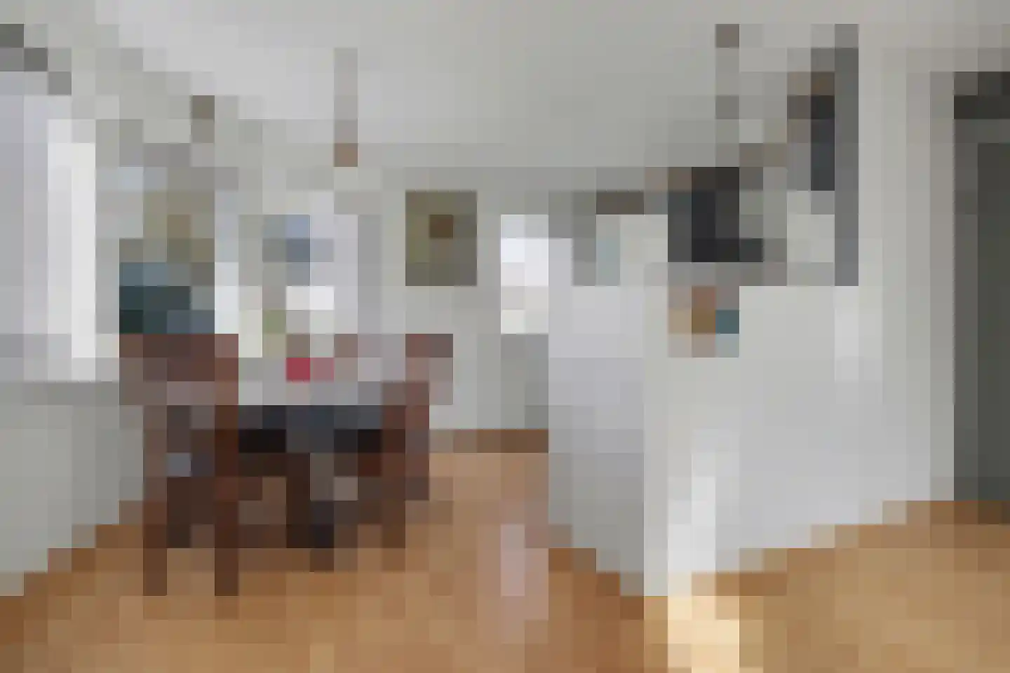 Berliozlaan 3 Goes thumbnail 4