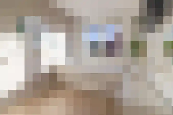 Berliozpad 76 Amersfoort thumbnail 11