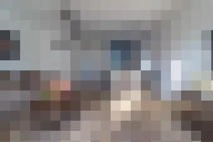 Berliozpad 76 Amersfoort thumbnail 5
