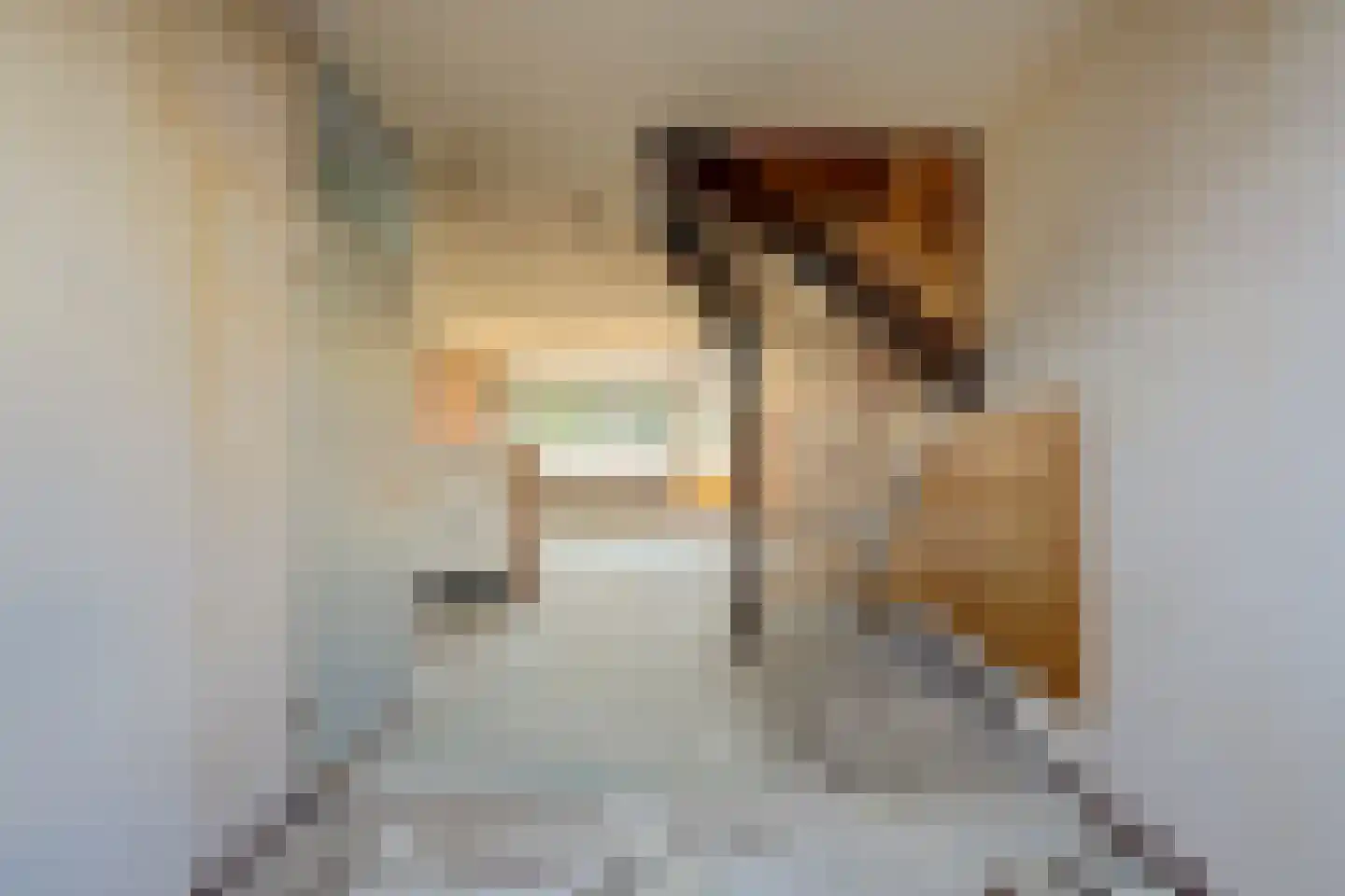 Berliozrode 16 Zoetermeer thumbnail 10