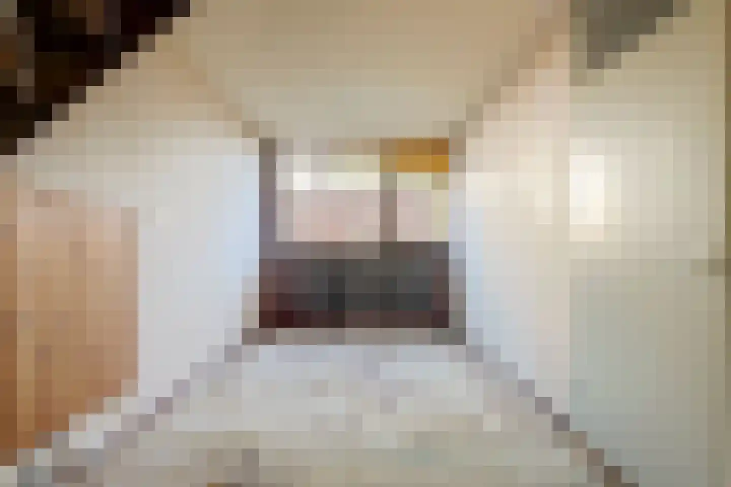 Berliozrode 16 Zoetermeer thumbnail 11