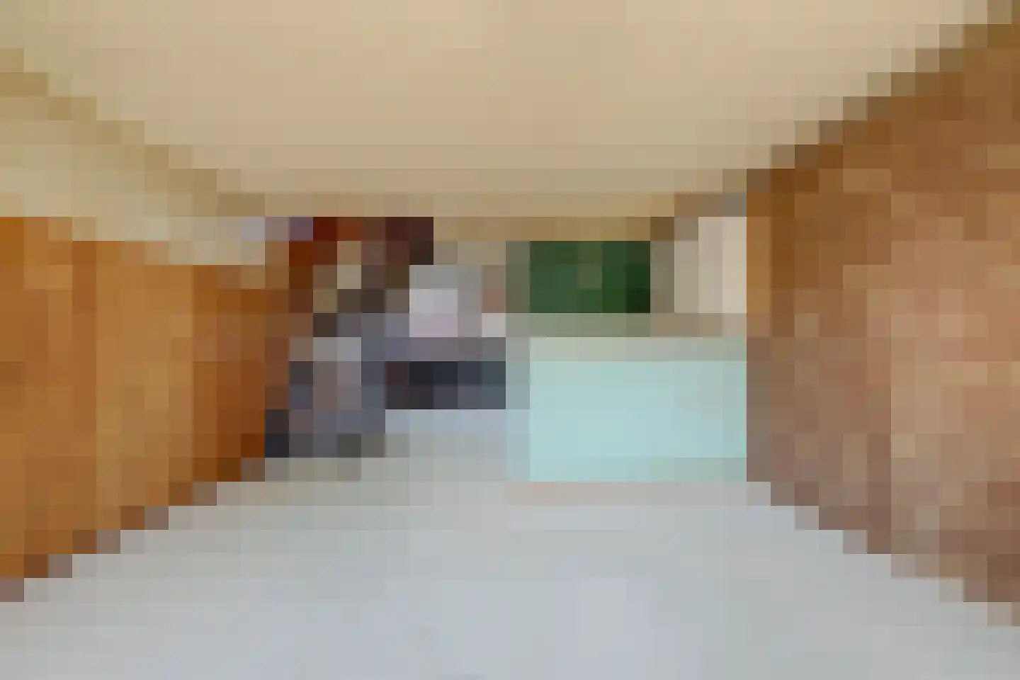 Berliozrode 16 Zoetermeer thumbnail 17