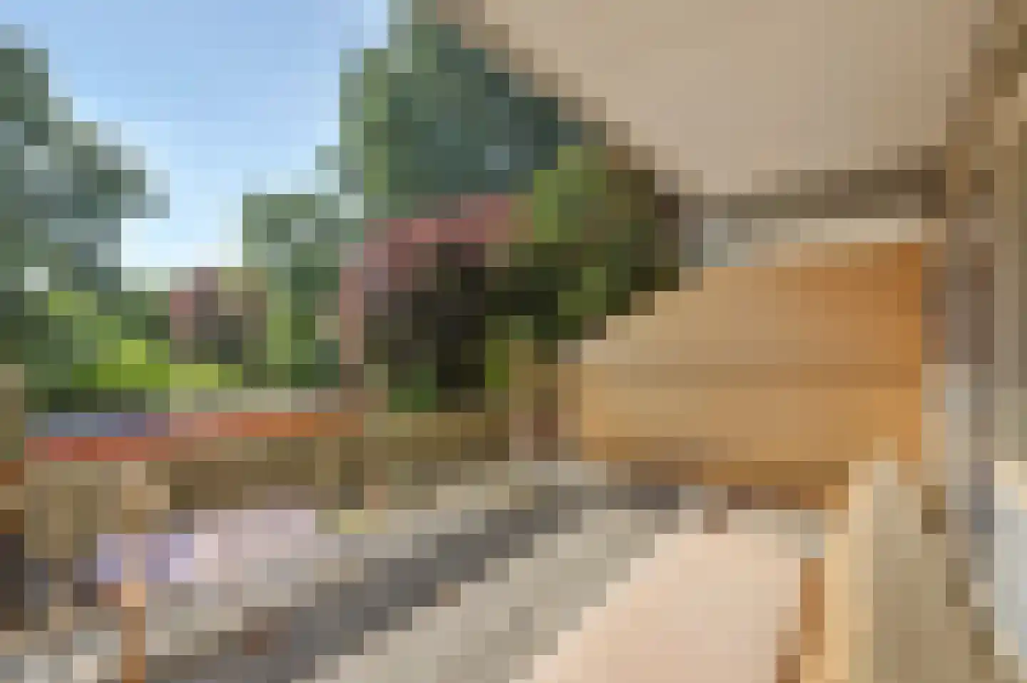 Berliozrode 16 Zoetermeer thumbnail 19