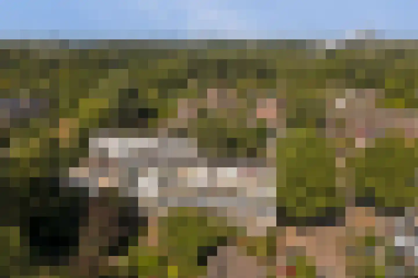 Berliozrode 16 Zoetermeer thumbnail 35