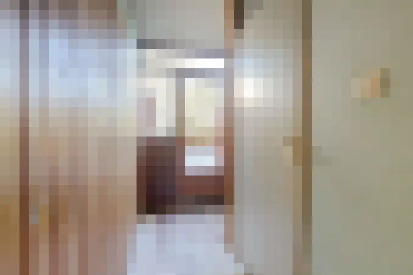 Berliozrode 16 Zoetermeer thumbnail 8