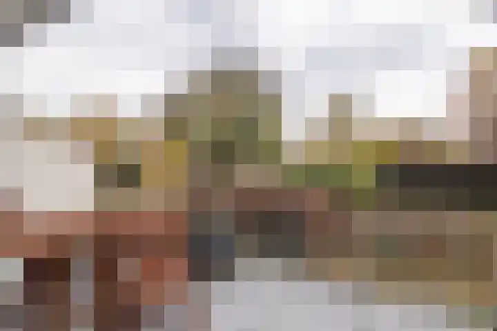 Berliozrode 18 Zoetermeer thumbnail 10