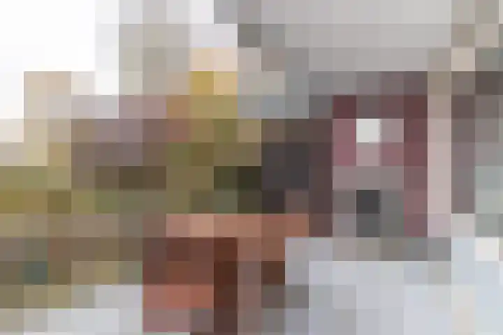 Berliozrode 18 Zoetermeer thumbnail 11