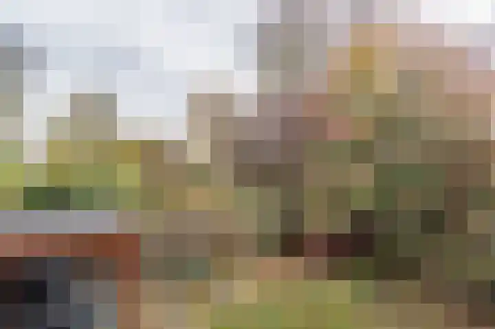 Berliozrode 18 Zoetermeer thumbnail 12