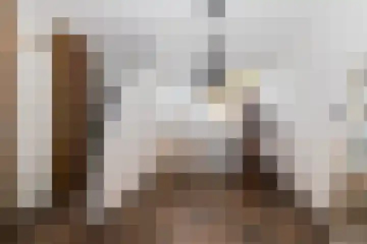Berliozrode 18 Zoetermeer thumbnail 13