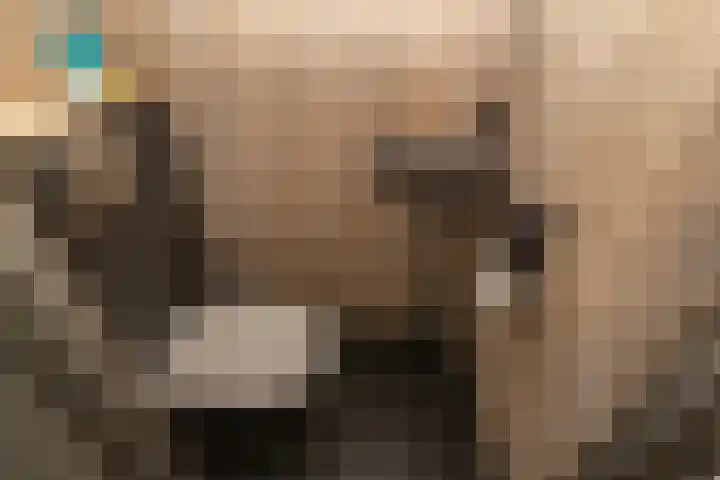 Berliozrode 18 Zoetermeer thumbnail 15