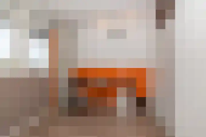 Berliozrode 18 Zoetermeer thumbnail 19