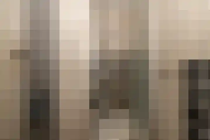 Berliozrode 18 Zoetermeer thumbnail 26